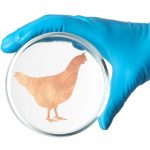 Lab Grown Chicken Fb.jpg