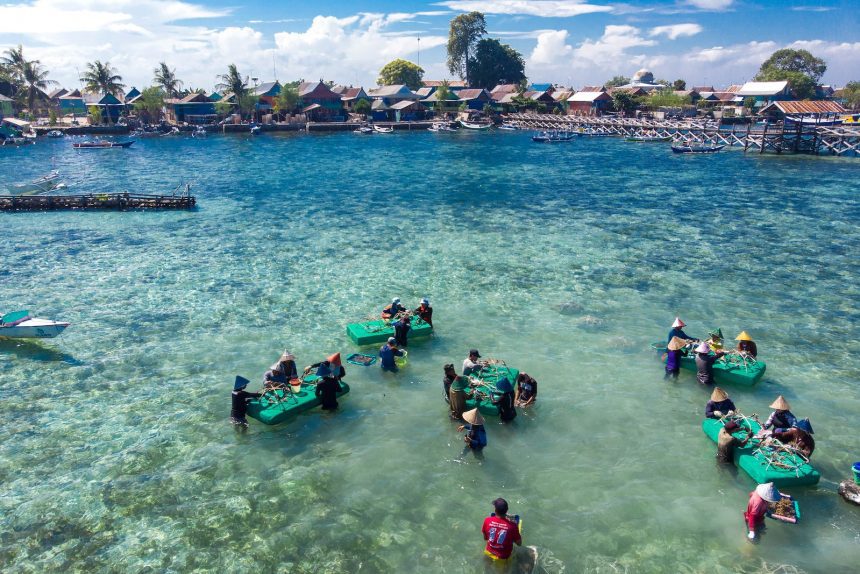Communities In Indonesia Work With Mars Sustainable Solutions To Restore Coral Using Reef Stars 3 Credit The Ocean Agency Min.jpg