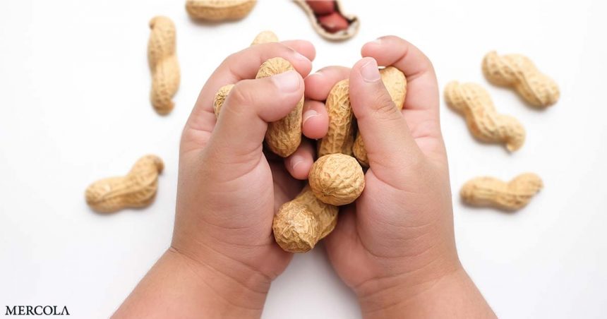 Peanuts During Infancy Reduce Risk Of Allergy Fb.jpg