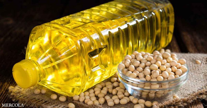 Soybean Oil Cause Genetic Changes Brain Fb.jpg